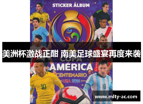 美洲杯激战正酣 南美足球盛宴再度来袭