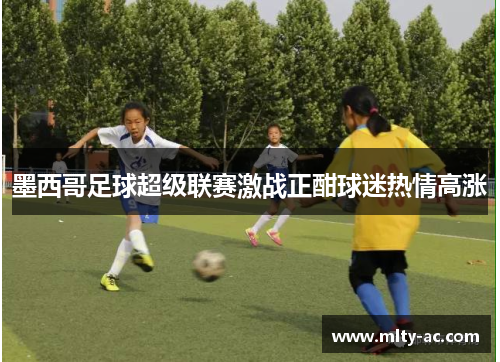 墨西哥足球超级联赛激战正酣球迷热情高涨